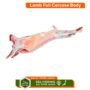 Lamb with bone