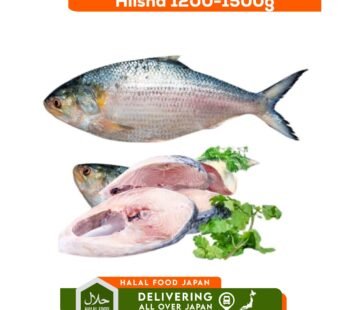 Hilsha 1.2kg Up