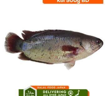 Koi Fish 500g