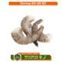 Shrimp 20-25 Bd